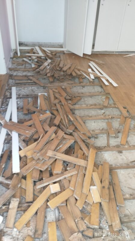 IMG_20221031_093101_1717357851137